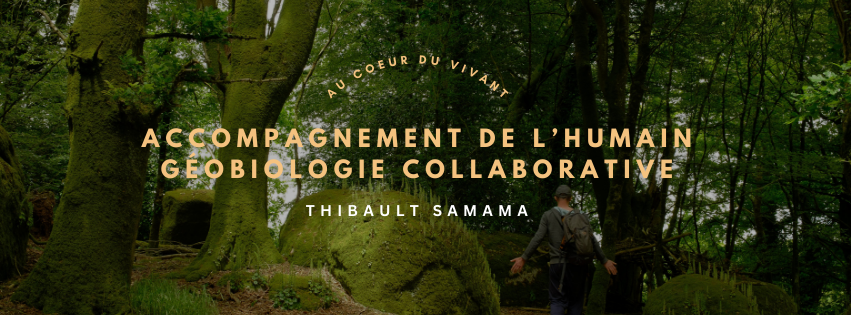 thibault samama géobiologie collaborative